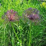 La Dragonne, Centre De Belleme, Maison Entierement Equipee, Jardin, Vue Foret * Belleme