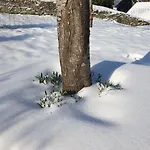 Σπίτι διακοπών La Dragonne, Centre De Belleme, Maison Entierement Equipee, Jardin, Vue Foret *