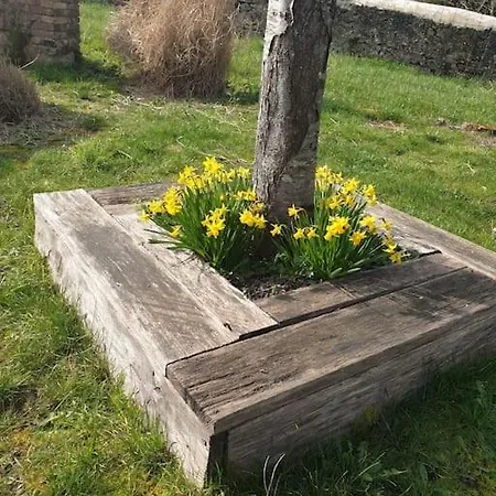 Casa vacanze La Dragonne, Petite Maison Au Centre De Bellême, Jardin, Cuisine équipée, Vue Forêt