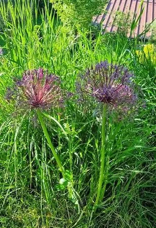 La Dragonne, Centre De Belleme, Maison Entierement Equipee, Jardin, Vue Foret * Belleme