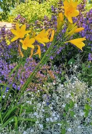 Feriehus La Dragonne, Centre De Belleme, Maison Entierement Equipee, Jardin, Vue Foret