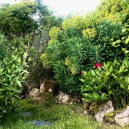 La Dragonne, Petite Maison Au Centre De Bellême, Jardin, Cuisine équipée, Vue Forêt
