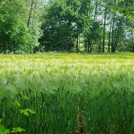 Feriehus La Dragonne, Centre De Belleme, Maison Entierement Equipee, Jardin, Vue Foret Belleme