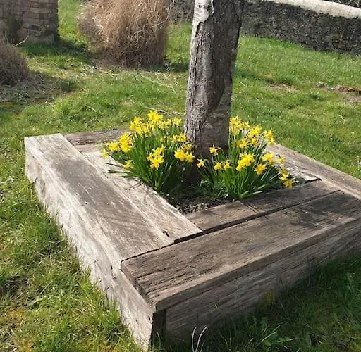 Сasa de vacaciones La Dragonne, Petite Maison Au Centre De Bellême, Jardin, Cuisine équipée, Vue Forêt