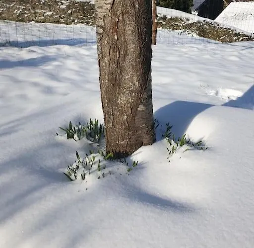 Сasa de vacaciones La Dragonne, Petite Maison Au Centre De Bellême, Jardin, Cuisine équipée, Vue Forêt *