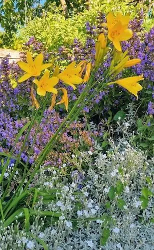 度假居 La Dragonne, Centre De Belleme, Maison Entierement Equipee, Jardin, Vue Foret