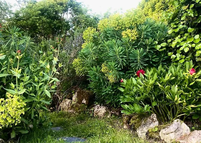 La Dragonne, Petite Maison Au Centre De Bellême, Jardin, Cuisine équipée, Vue Forêt