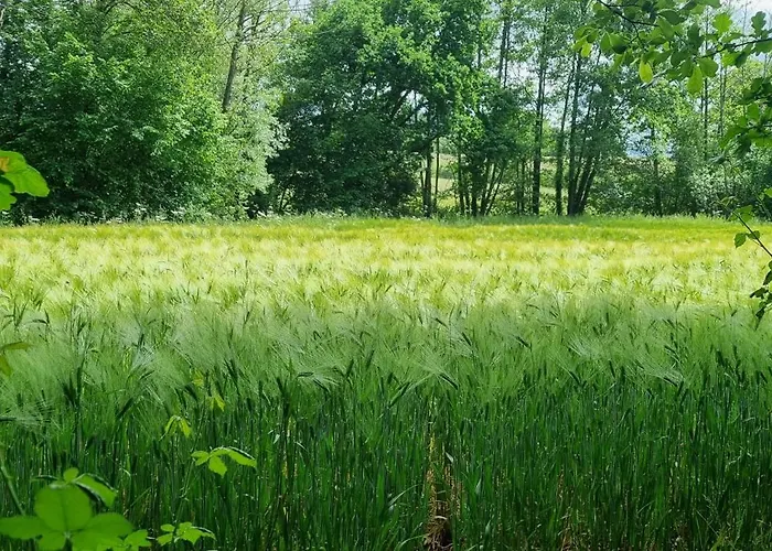 度假居 La Dragonne, Centre De Belleme, Maison Entierement Equipee, Jardin, Vue Foret 贝莱姆